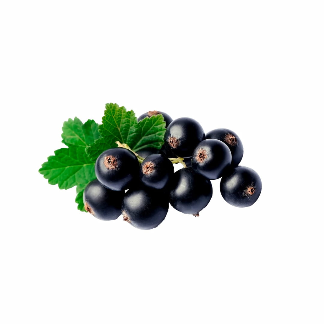 Gams Snack Bons 70Gr - Blackcurrant
